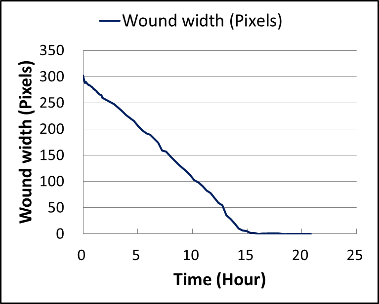 Wound width(Pixels)