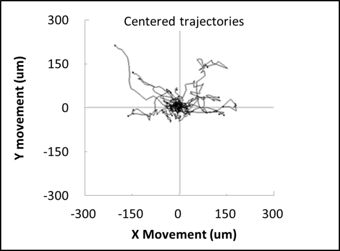 X Movement(um)