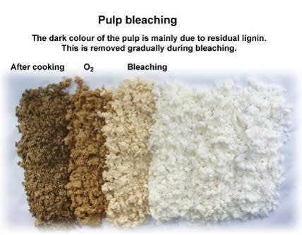 Pulp Bleaching