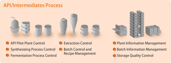 API/Intermediates Process