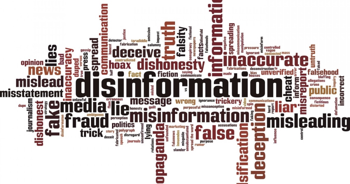 How disinformation impacts public policies | The Factual Analysis