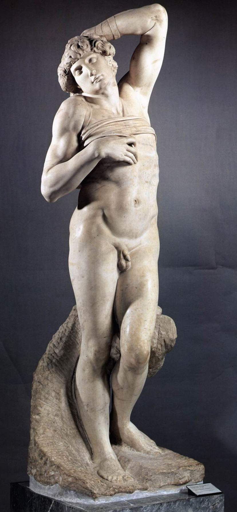 Michelangelo Prigioni schiavo morente Louvre Parigi non finito marmo scultura