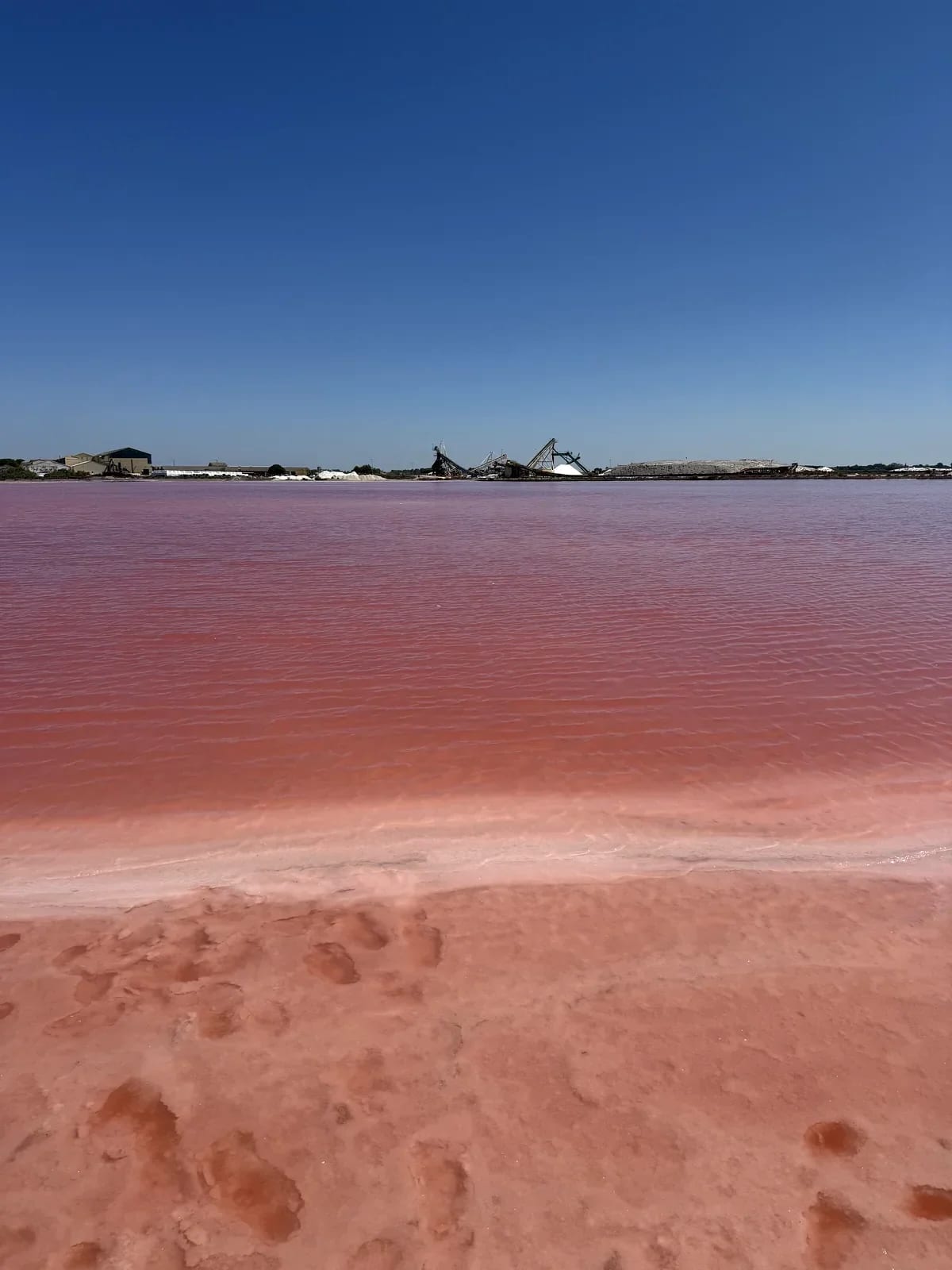 Saline rosa Camargue Aigues-Mortes visita