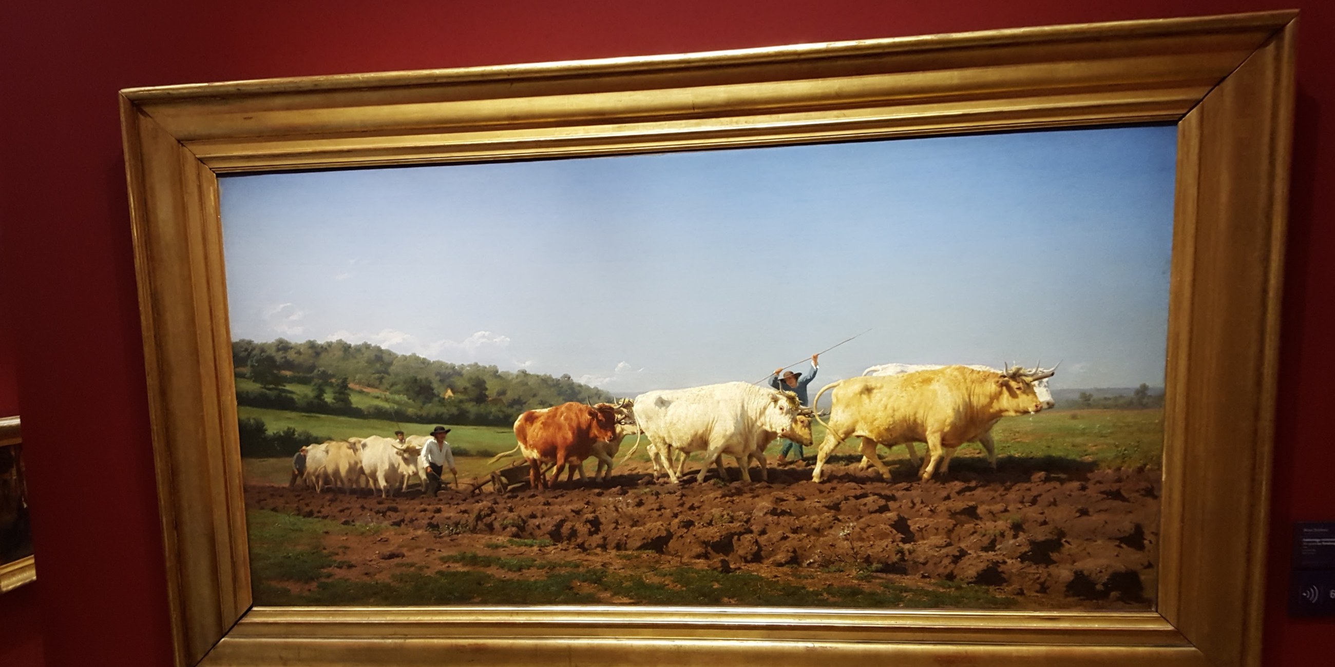 labourage nivernais Rosa Bonheur museo d'orsay 1849 pittura realista campagna