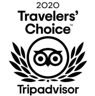 tripadvisor-travellers-choice-2020-badge-logo-removebg-preview