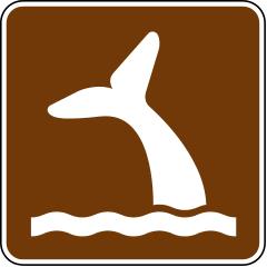 Whale Viewing Signs  - RS-107