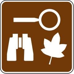 Advisory Speed (Exit) Sign - W13-6