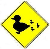 Duck Crossing Sign - W11-12