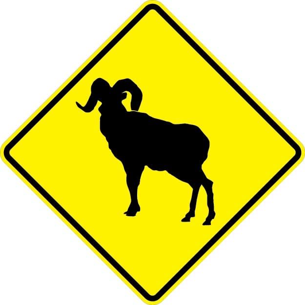 Bighorn Sheep Sign - W11-18