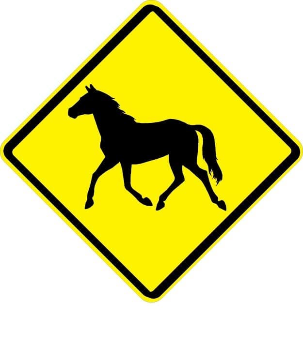 Wild Horse Sign - W11-22