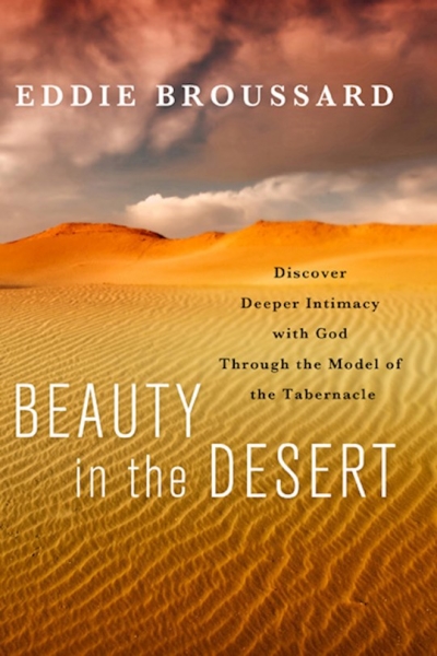 Beauty In The Desert | SHOPtheWORD