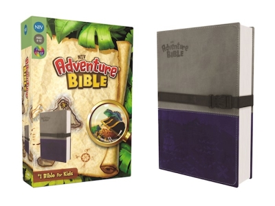 NIV Adventure Bible (Full Color)-Gray/Blue Duo-Tone | SHOPtheWORD