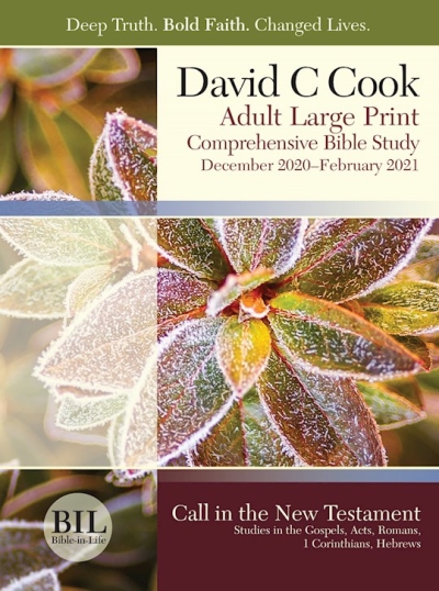 Bible-In-Life/Reformation Press Winter 2022-2023: Adult Comprehensive Bible Study Student Book Large Print (#1087) by C Cook C Cook | SHOPtheWORD