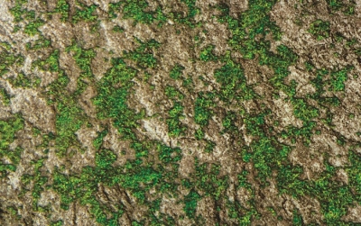 Cave Wall Plastic Backdrop (30' x 4') | SHOPtheWORD
