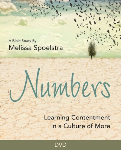 DVD-Numbers: Learning Contentment In A Culture Of More | SHOPtheWORD