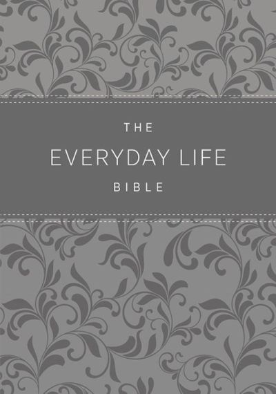 Amplified The Everyday Life Bible-Gray Euroluxe | SHOPtheWORD