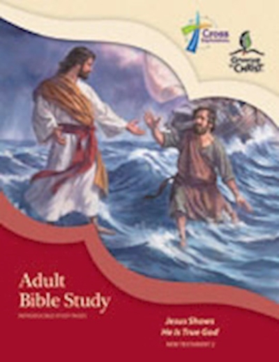 Growing In Christ Sunday School: Adult Bible Study (NT2) (#460650) by Concordia | SHOPtheWORD