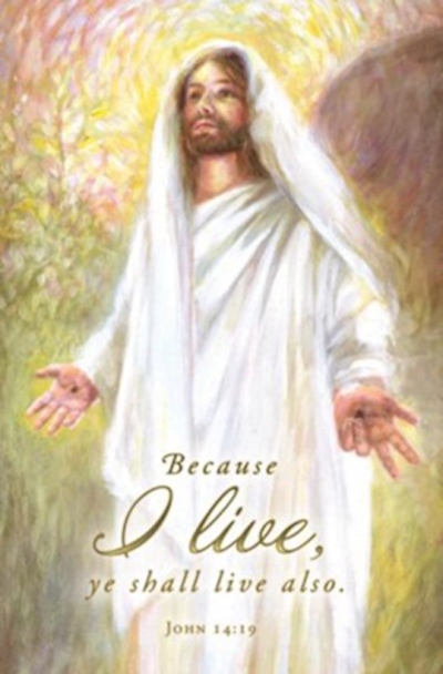 Bulletin-Risen Christ: Because I Live, You Shall Live Also (John 14:19) (Pack Of 100) | SHOPtheWORD