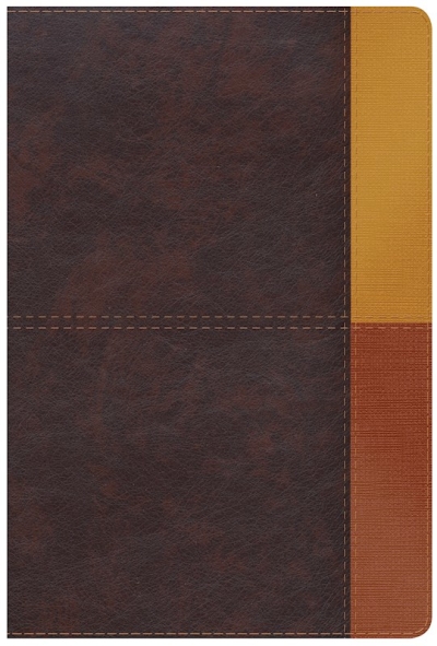 Span-RVR 1960 Rainbow Study Bible (Biblia de Estudio Arco Iris)-Cocoa/Terracota LeatherTouch | SHOPtheWORD