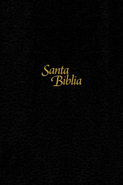 Span-NTV Personal Size Large Print Bible (Edicion Personal Letra Grande)-Hardcover | SHOPtheWORD