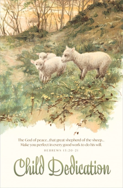Bulletin-The God Of Peace...Make You Perfect In/Child Dedication (Hebrews 13:20-21) (Pack Of 100) | SHOPtheWORD
