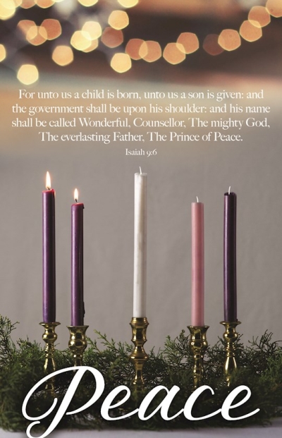 Bulletin-Advent Week 2: Peace (Isaiah 9:6) (Pack Of 100) | SHOPtheWORD