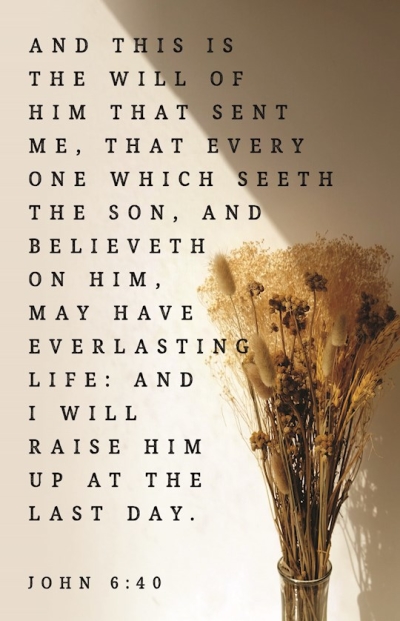 Bulletin-And This Is The Will Of Him That Sent Me...Have Everlasting Life (John 6:40) (Pack Of 100) | SHOPtheWORD