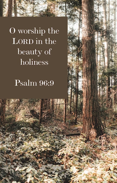 Bulletin-O Worship The Lord In The Beauty Of Holiness (Psalm 96:9) (Pack Of 100) | SHOPtheWORD