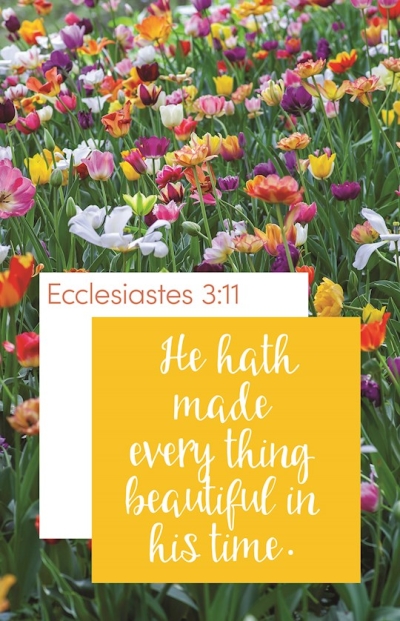 Bulletin-He Hath Made Everything Beautiful (Ecclesiastes 3:11) (Pack Of 100) | SHOPtheWORD