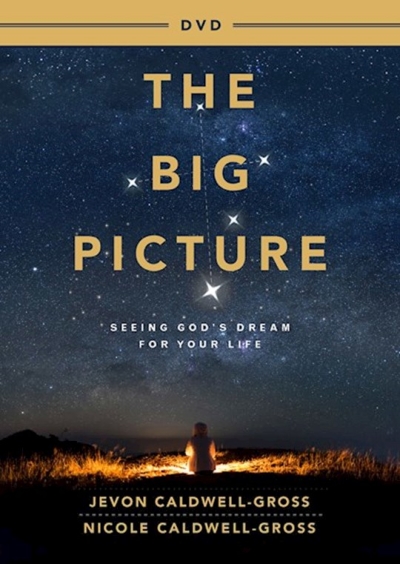 DVD-The Big Picture Video Content | SHOPtheWORD