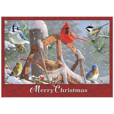 Card-Boxed-Christmas-Fresh Snow (John 1:16 NLT) (Box Of 20) | SHOPtheWORD