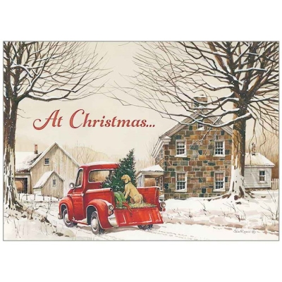 Card-Boxed-Bringing Home the Tree (2 Peter 1:2 NIV) (Box Of 20) | SHOPtheWORD