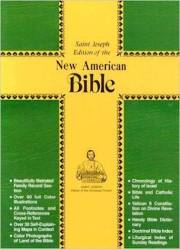 NABRE St. Joseph Edition Personal Size Bible-Brown Imitation Leather | SHOPtheWORD