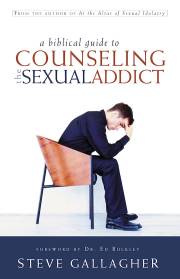 Biblical Guide To Counseling The Sexual Addict by Steve Gallagher | SHOPtheWORD
