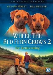 DVD-Where The Red Fern Grows V2 | SHOPtheWORD