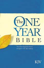 KJV One Year Bible-Softcover | SHOPtheWORD