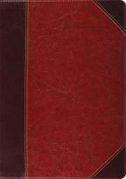 ESV Study Bible-Brown Cordovan Portfolio Design TruTone | SHOPtheWORD