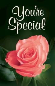 Tract-You're Special-25th Annversary Edition (KJV) (Pack of 25) by Ted Griffin | SHOPtheWORD