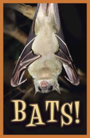 Tract-Halloween: Bats! (KJV) (Pack Of 25) by News Tracts Good | SHOPtheWORD