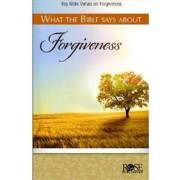 What The Bible Says About Forgiveness Pamphlet (Pack Of 5) by Publishing Rose | SHOPtheWORD