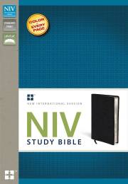NIV Study Bible-Black Top Grain Leather | SHOPtheWORD