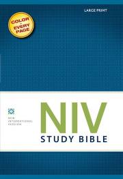 NIV Study Bible/Large Print-Hardcover | SHOPtheWORD
