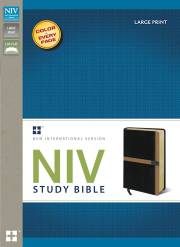 NIV Study Bible/Large Print-Black/Caramel Duo-Tone | SHOPtheWORD