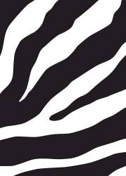 Message Remix 2.0 (Numbered Edition)-Zebra Plastic (Not Available-Out Of Print) | SHOPtheWORD