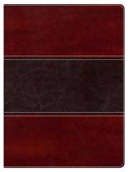 NKJV Holman Study Bible (Full Color)-Mahogany LeatherTouch | SHOPtheWORD