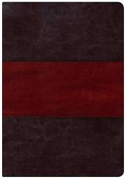 NKJV Holman Study Bible/Large Print (Full Color)-Saddle Brown Indexed | SHOPtheWORD