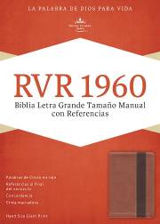 Span-RVR 1960 Hand Size Giant Print Bible-Copper/Dark Brown LeatherTouch | SHOPtheWORD