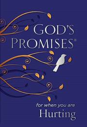 God's Promises For When You Are Hurting by Jack Countryman | SHOPtheWORD