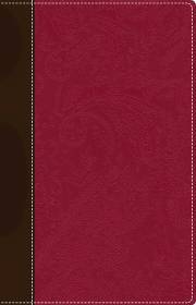 NIV Devotional Bible For Women-Chocolate/Berry Duo-Tone (Not Available-Out Of Print) | SHOPtheWORD