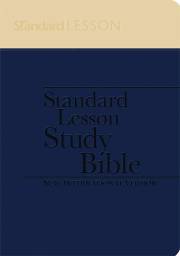 NIV Standard Lesson Study Bible-Blue/Yellow Duo-Tone W/Commentary | SHOPtheWORD